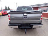 Used 2010 Ford F150 XLT image 5