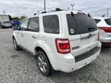 Used 2011 Ford Escape Limited w/ 302A Rapid Spec Order Code image 3