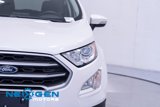 Used 2020 Ford EcoSport SE w/ SE Convenience Package image 6