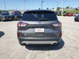 Used 2022 Ford Escape Titanium image 4