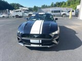Certified 2021 Ford Mustang Premium w/ Ford Safe & Smart Package image 3