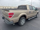 Used 2011 Ford F150 XLT w/ XLT Chrome Pkg image 4