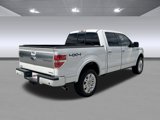 Used 2014 Ford F150 Platinum image 3