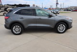 Used 2022 Ford Escape SE w/ Cold Weather Package image 4