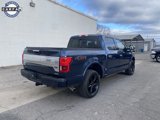 Used 2018 Ford F150 Platinum w/ Equipment Group 701A Luxury image 2