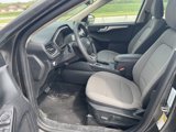 Used 2020 Ford Escape SE image 3