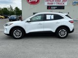 Used 2020 Ford Escape SE image 2