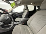 Used 2020 Ford Escape SE image 6