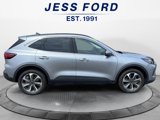 Used 2024 Ford Escape Platinum image 6