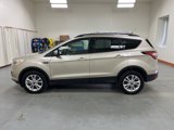 Used 2017 Ford Escape SE w/ SE Leather Comfort Package image 5