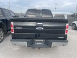 Used 2013 Ford F150 XLT w/ Luxury Equipment Group image 5