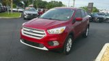 Used 2019 Ford Escape SE image 2