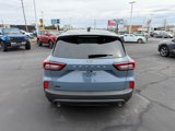 New 2025 Ford Escape ST-Line w/ Cold Weather Package image 5