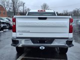 Used 2024 Chevrolet Silverado 1500 W/T w/ WT Fleet Convenience Package image 4