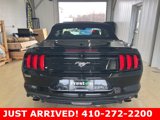 Used 2021 Ford Mustang Premium image 4