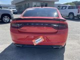 Used 2018 Dodge Charger SXT w/ Blacktop Package image 4