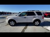 Used 2011 Ford Escape XLT w/ 202A Rapid Spec Order Code image 6