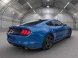 Used 2021 Ford Mustang Coupe w/ Equipment Group 101A image 5