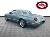 Used 2004 Ford Thunderbird Pacific Coast image 5