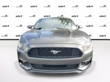 Used 2016 Ford Mustang Coupe w/ Equipment Group 051A image 2