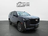 Used 2021 Cadillac Escalade Sport Platinum image 6