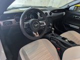 Used 2015 Ford Mustang GT w/ Enhanced Security Package image 4