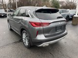New 2025 INFINITI QX50 Luxe image 5