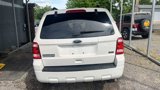 Used 2011 Ford Escape XLT image 3