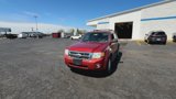 Used 2012 Ford Escape XLT image 4
