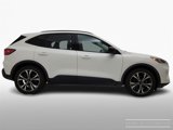 Used 2021 Ford Escape SE w/ SE Sport Appearance Package image 4