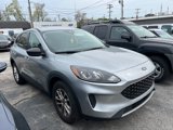 Used 2022 Ford Escape SE w/ Convenience Package image 3