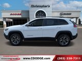 Used 2019 Jeep Cherokee Trailhawk w/ Cold Weather Group image 6
