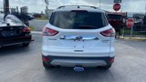 Used 2015 Ford Escape Titanium w/ Equipment Group 301A image 5