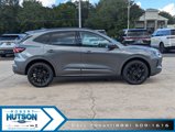 New 2024 Ford Escape ST-Line Elite image 5