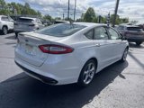 Used 2014 Ford Fusion SE image 4