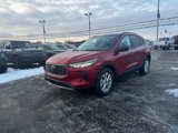 New 2025 Ford Escape Active w/ Tech Pack #1 image 2