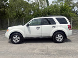 Used 2011 Ford Escape XLT w/ 201A Rapid Spec Order Code image 3