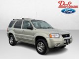 Used 2004 Ford Escape Limited image 4