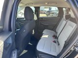 New 2025 Ford Escape Active w/ Cold Weather Package image 4