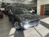 Certified 2022 Ford Escape SEL image 2
