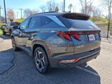 Used 2024 Hyundai Tucson SEL image 4