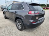 Used 2019 Jeep Cherokee Latitude Plus w/ Cold Weather Group image 5
