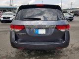 Used 2016 Honda Odyssey EX-L image 5