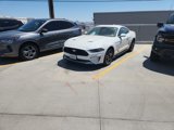Used 2023 Ford Mustang Premium image 2