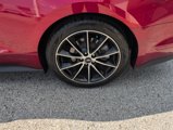 Used 2016 Ford Mustang Premium w/ Wheel & Stripe Package image 4