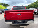New 2025 Ford F150 XLT w/ Equipment Group 302A MID image 3