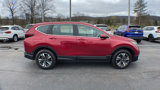 Used 2021 Honda CR-V Special Edition image 3