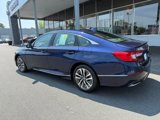 Used 2020 Honda Accord EX-L image 3
