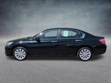 Used 2013 Honda Accord EX image 5