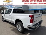 Used 2019 Chevrolet Silverado 1500 LT w/ All-Star Edition image 5